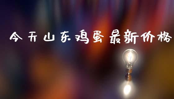 今天山东鸡蛋最新价格_https://www.kuaijiepai.net_国际期货_第1张