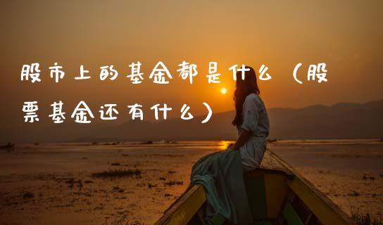 股市上的基金都是什么（股票基金还有什么）_https://www.kuaijiepai.net_期货理财_第1张