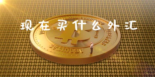 现在买什么外汇_https://www.kuaijiepai.net_期货在线_第1张