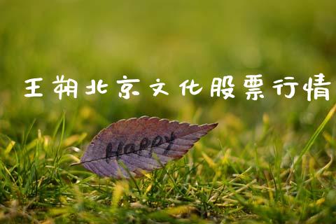 王朔北京文化股票行情_https://www.kuaijiepai.net_股票理论_第1张
