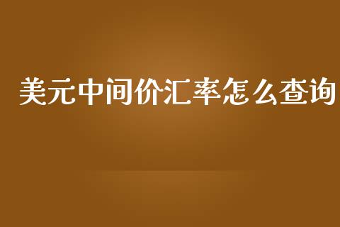 美元中间价汇率怎么查询_https://www.kuaijiepai.net_国际股建_第1张