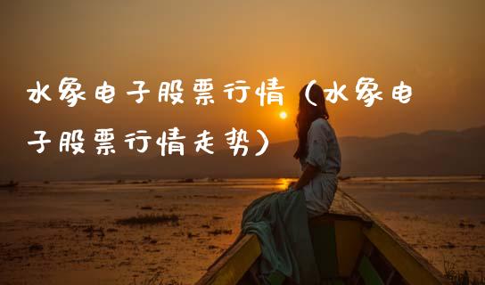 水象电子股票行情（水象电子股票行情走势）_https://www.kuaijiepai.net_新股新闻_第1张