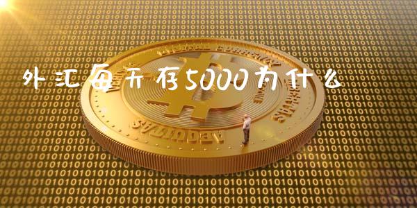 外汇每天存5000为什么_https://www.kuaijiepai.net_期货理财_第1张