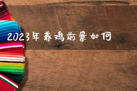 2023年养鸡前景如何_https://www.kuaijiepai.net_国际期货_第1张