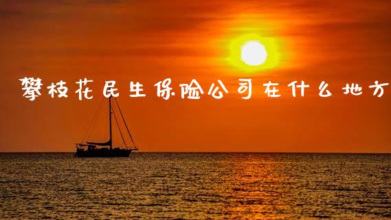 攀枝花民生保险公司在什么地方_https://www.kuaijiepai.net_股票理论_第1张