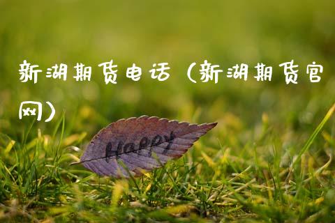 新湖期货电话（新湖期货官网）_https://www.kuaijiepai.net_期货资讯_第1张
