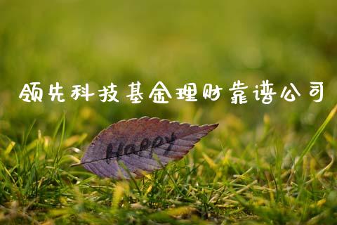 领先科技基金理财靠谱公司_https://www.kuaijiepai.net_投资理财_第1张