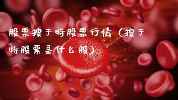 股票搜于特股票行情（搜于特股票是什么股）_https://www.kuaijiepai.net_新股新闻_第1张
