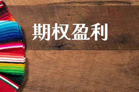 期权盈利_https://www.kuaijiepai.net_股票理论_第1张