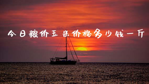 今日粮价玉米价格多少钱一斤_https://www.kuaijiepai.net_期货资讯_第1张