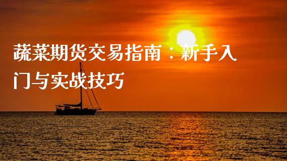 蔬菜期货交易指南：新手入门与实战技巧_https://www.kuaijiepai.net_投资理财_第1张