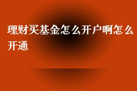 理财买基金怎么开户啊怎么开通_https://www.kuaijiepai.net_投资理财_第1张