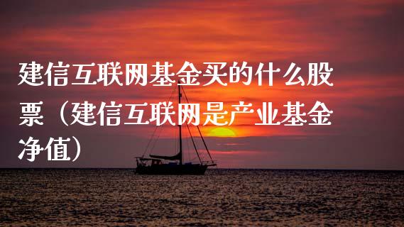 建信互联网基金买的什么股票（建信互联网是产业基金净值）_https://www.kuaijiepai.net_期货理财_第1张