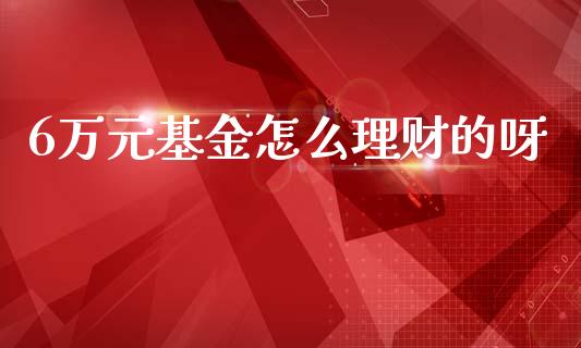 6万元基金怎么理财的呀_https://www.kuaijiepai.net_投资理财_第1张