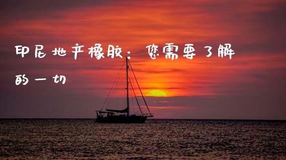 印尼地产橡胶：您需要了解的一切_https://www.kuaijiepai.net_期货在线_第1张