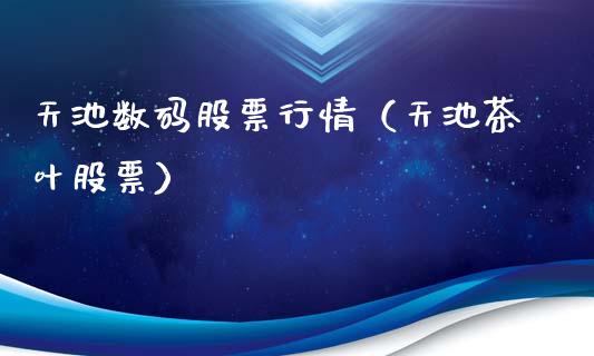 天池数码股票行情（天池茶叶股票）_https://www.kuaijiepai.net_国际股建_第1张