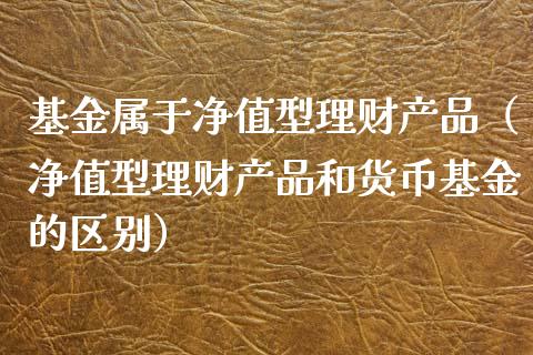 基金属于净值型理财产品（净值型理财产品和货币基金的区别）_https://www.kuaijiepai.net_期货理财_第1张