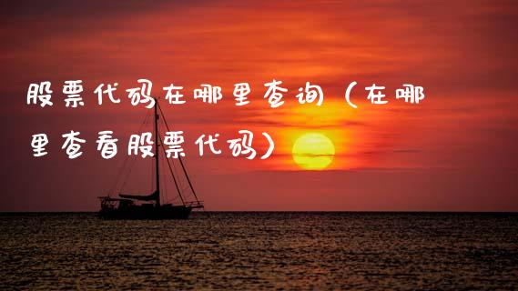 股票代码在哪里查询（在哪里查看股票代码）_https://www.kuaijiepai.net_新股新闻_第1张