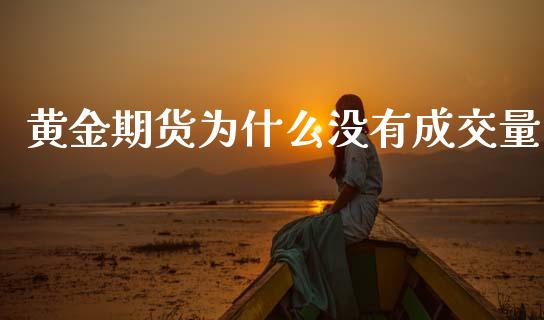 黄金期货为什么没有成交量_https://www.kuaijiepai.net_国际期货_第1张