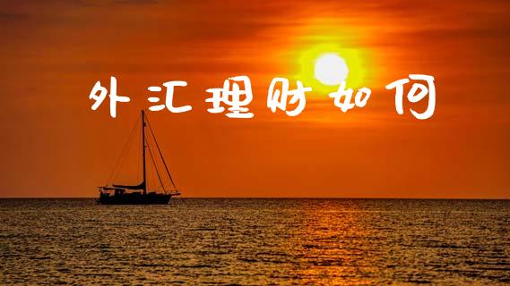 外汇理财如何_https://www.kuaijiepai.net_新股新闻_第1张