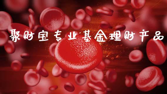 聚财宝专业基金理财产品_https://www.kuaijiepai.net_期货理财_第1张