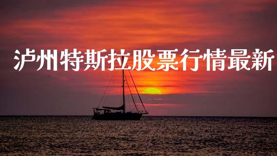 泸州特斯拉股票行情最新_https://www.kuaijiepai.net_新股新闻_第1张