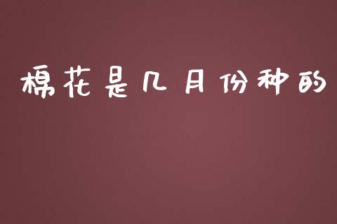 棉花是几月份种的_https://www.kuaijiepai.net_国际期货_第1张