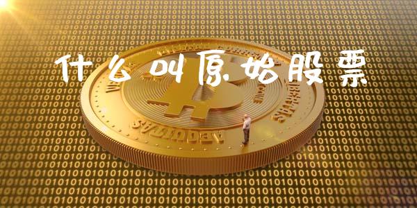 什么叫原始股票_https://www.kuaijiepai.net_投资理财_第1张