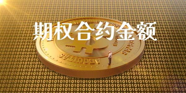 期权合约金额_https://www.kuaijiepai.net_新股新闻_第1张