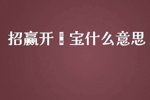 招赢开鑫宝什么意思_https://www.kuaijiepai.net_投资理财_第1张