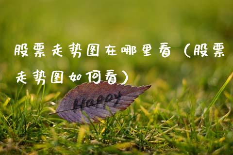股票走势图在哪里看（股票走势图如何看）_https://www.kuaijiepai.net_股票理论_第1张