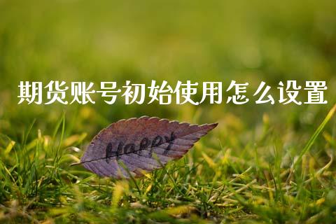期货账号初始使用怎么设置_https://www.kuaijiepai.net_期货在线_第1张