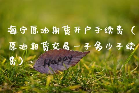 海宁原油期货开户手续费（原油期货交易一手多少手续费）_https://www.kuaijiepai.net_国际期货_第1张