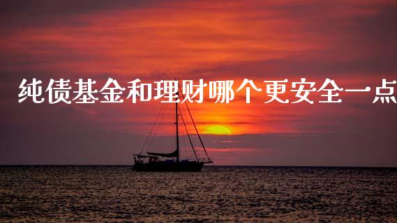 纯债基金和理财哪个更安全一点_https://www.kuaijiepai.net_投资理财_第1张