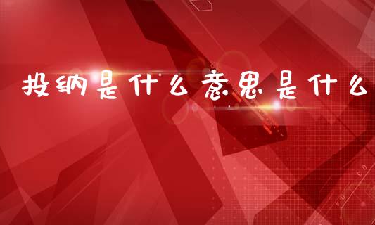 投纳是什么意思是什么_https://www.kuaijiepai.net_新股新闻_第1张