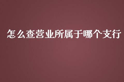 怎么查营业所属于哪个支行_https://www.kuaijiepai.net_国际股建_第1张