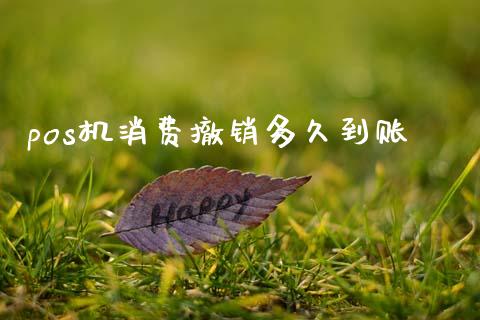 pos机消费撤销多久到账_https://www.kuaijiepai.net_期货在线_第1张