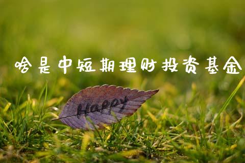 啥是中短期理财投资基金_https://www.kuaijiepai.net_期货理财_第1张