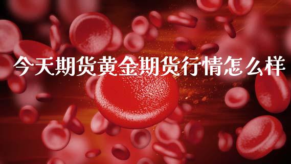 今天期货黄金期货行情怎么样_https://www.kuaijiepai.net_国际期货_第1张