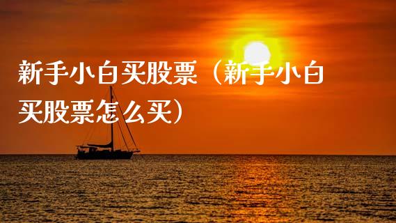 新手小白买股票（新手小白买股票怎么买）_https://www.kuaijiepai.net_国际股建_第1张
