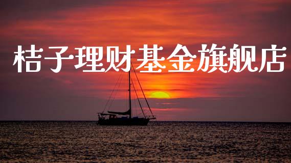 桔子理财基金旗舰店_https://www.kuaijiepai.net_投资理财_第1张