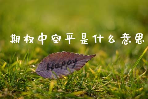 期权中空平是什么意思_https://www.kuaijiepai.net_投资理财_第1张