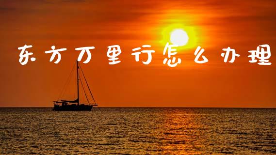 东方万里行怎么办理_https://www.kuaijiepai.net_国际股建_第1张