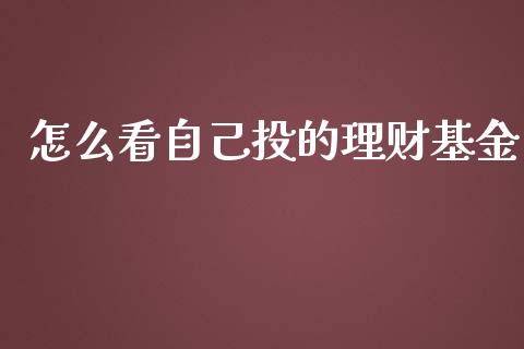 怎么看自己投的理财基金_https://www.kuaijiepai.net_期货理财_第1张