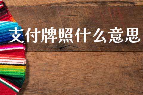 支付牌照什么意思_https://www.kuaijiepai.net_股票理论_第1张
