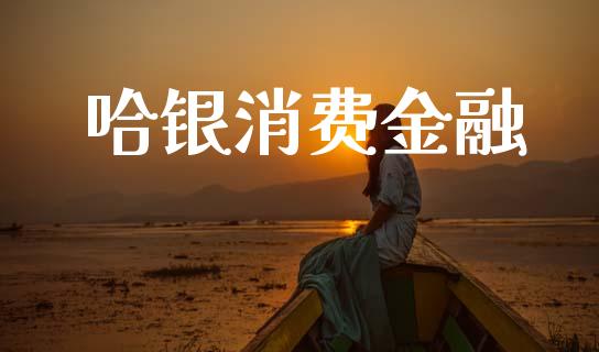 哈银消费金融_https://www.kuaijiepai.net_期货资讯_第1张