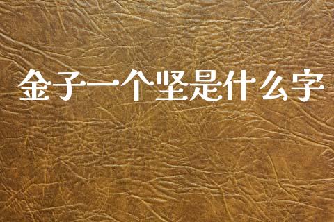 金子一个坚是什么字_https://www.kuaijiepai.net_期货理财_第1张