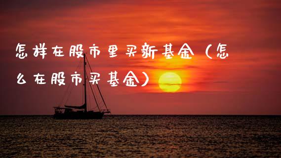 怎样在股市里买新基金（怎么在股市买基金）_https://www.kuaijiepai.net_投资理财_第1张