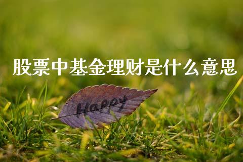股票中基金理财是什么意思_https://www.kuaijiepai.net_期货理财_第1张
