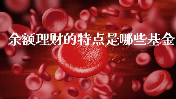 余额理财的特点是哪些基金_https://www.kuaijiepai.net_投资理财_第1张